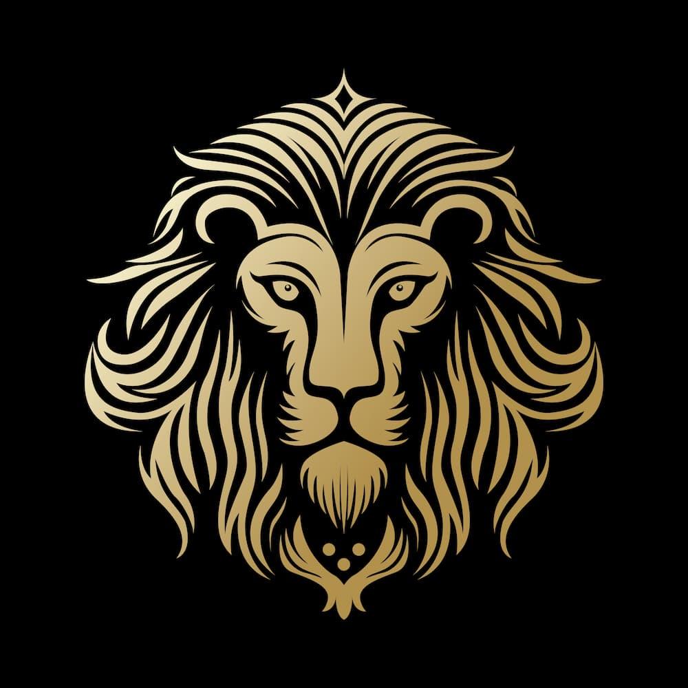 Pure Himalayan Shilajit Resin in Australia | Lion Shilajit